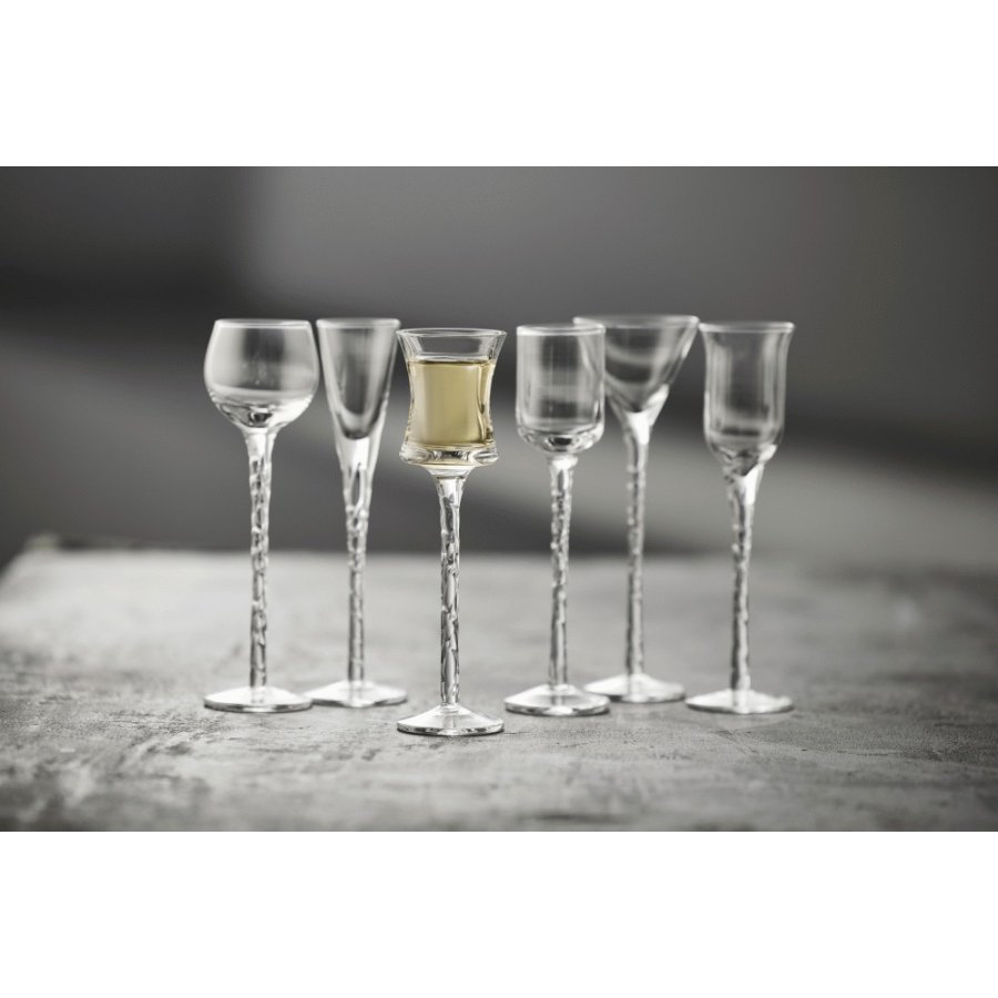 Lyngby Glas Rum Schnapsglas Klar 6er Set
