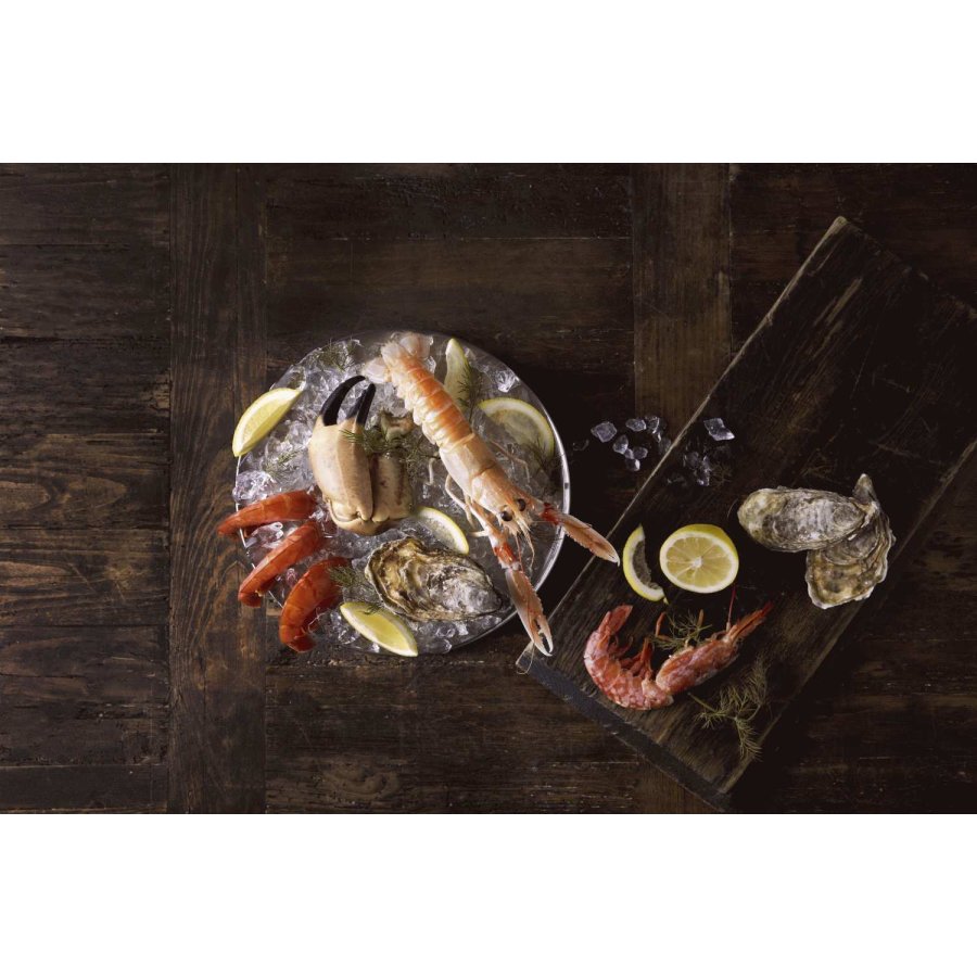 Funktion Essay ber Schalentiere 3er Set, Stahl