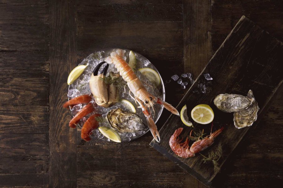 Funktion Essay ber Schalentiere 3er Set, Stahl