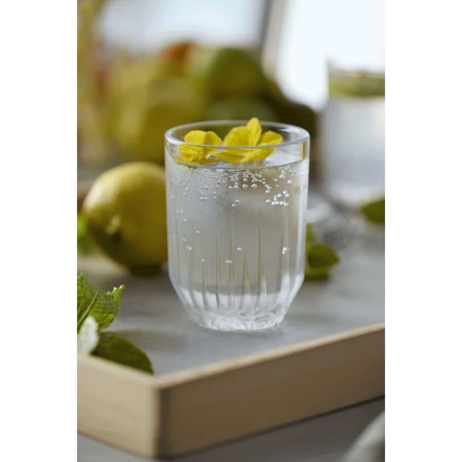 Lyngby Glas Astrid Wasserglas 6er Set 25 cl