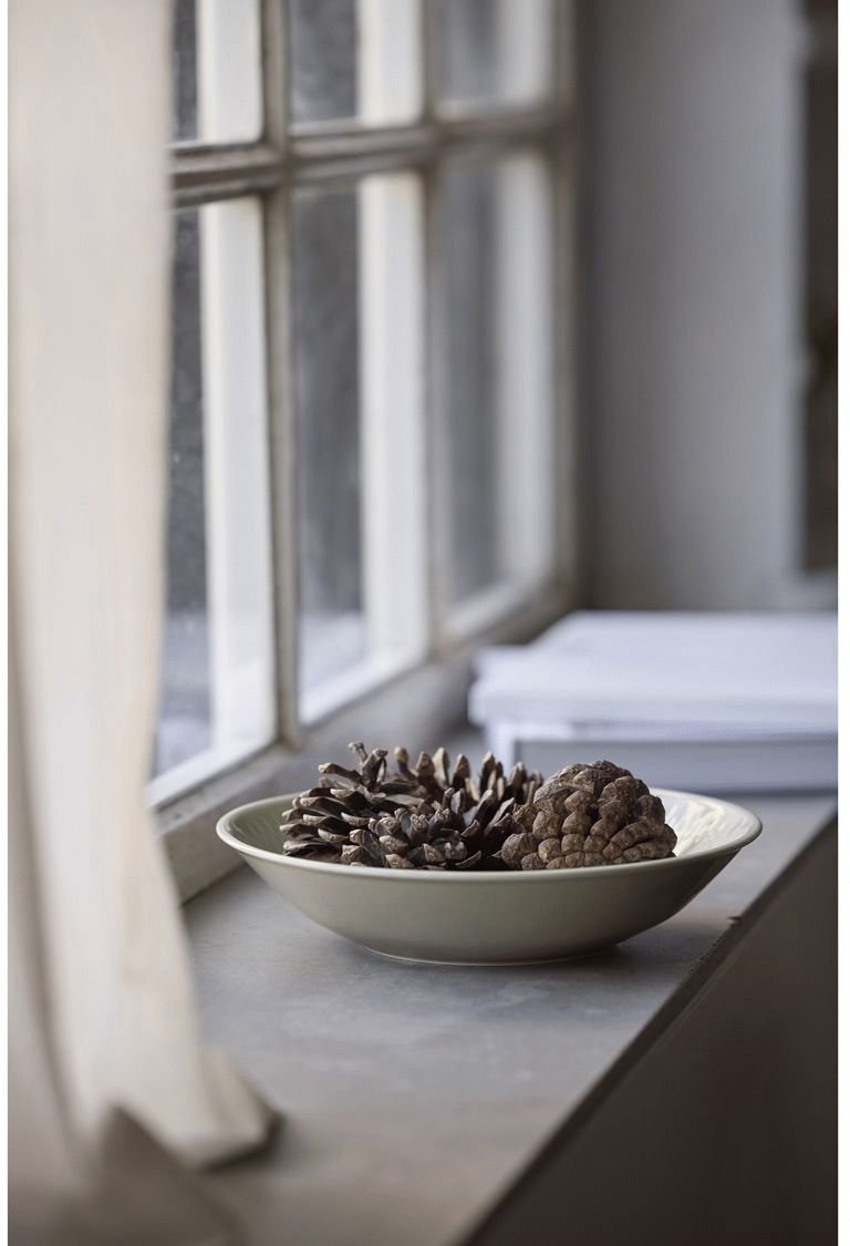 Coast Horizon Pastaschale 4er Set 21 cm, Grass