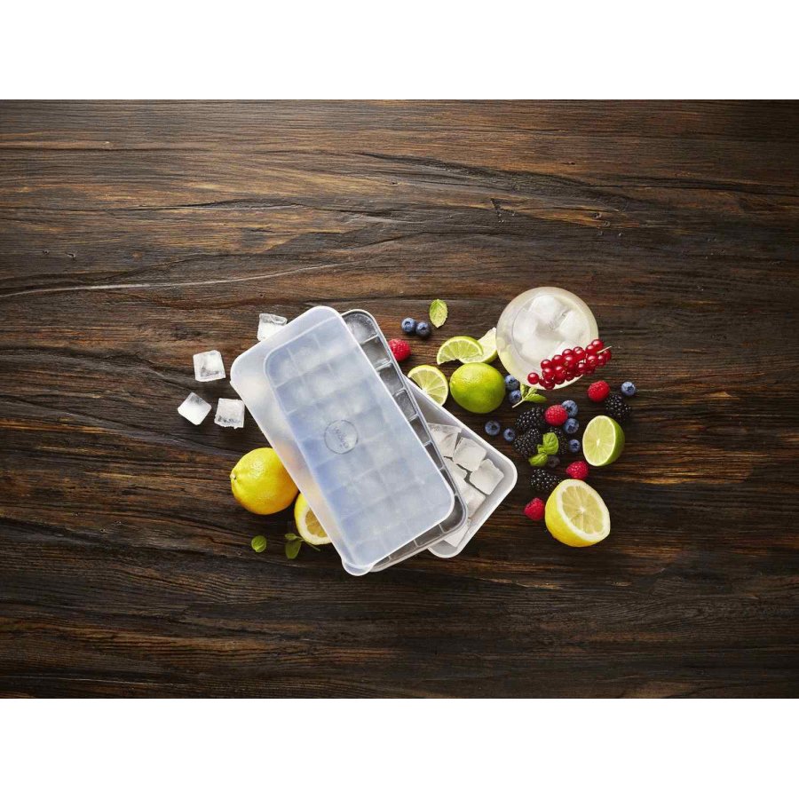 Funktion Eisw&uuml;rfelschale mit Deckel 23,3x12, 2 Cm