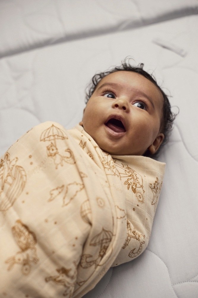 FILIBABBA Babyswaddle 120x120 cm, Dreamy Adventurers