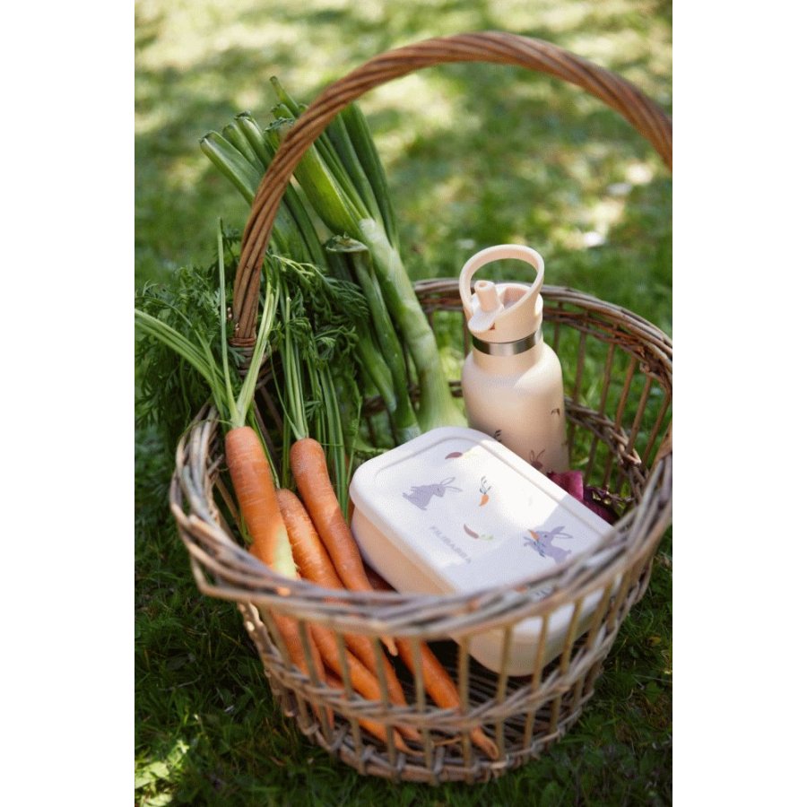 FILIBABBA Trinkflasche H20,7 cm, Carrot Thief