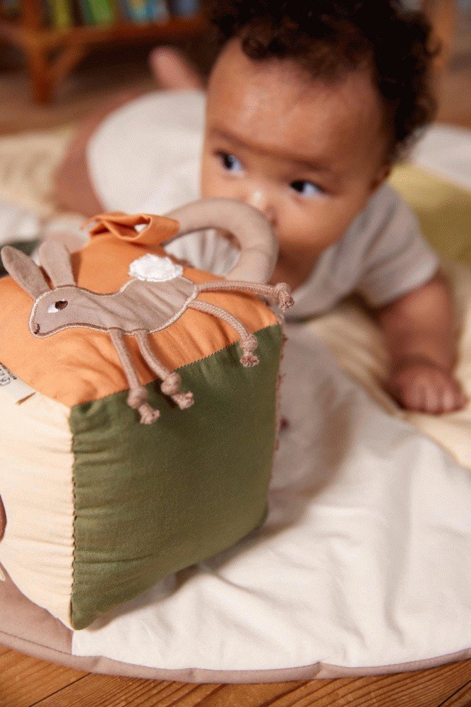 FILIBABBA Aktivittswrfel 14x14 cm, Carrot Thief