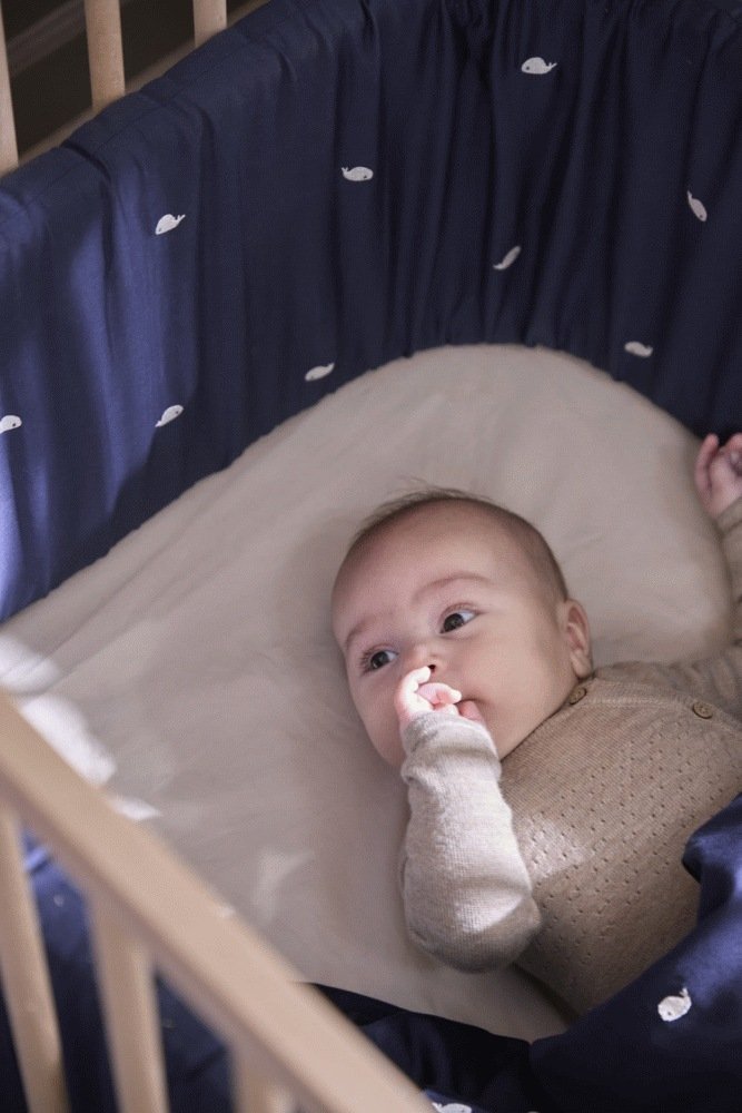 FILIBABBA Bettrand Wal Christian 340 cm, Midnight