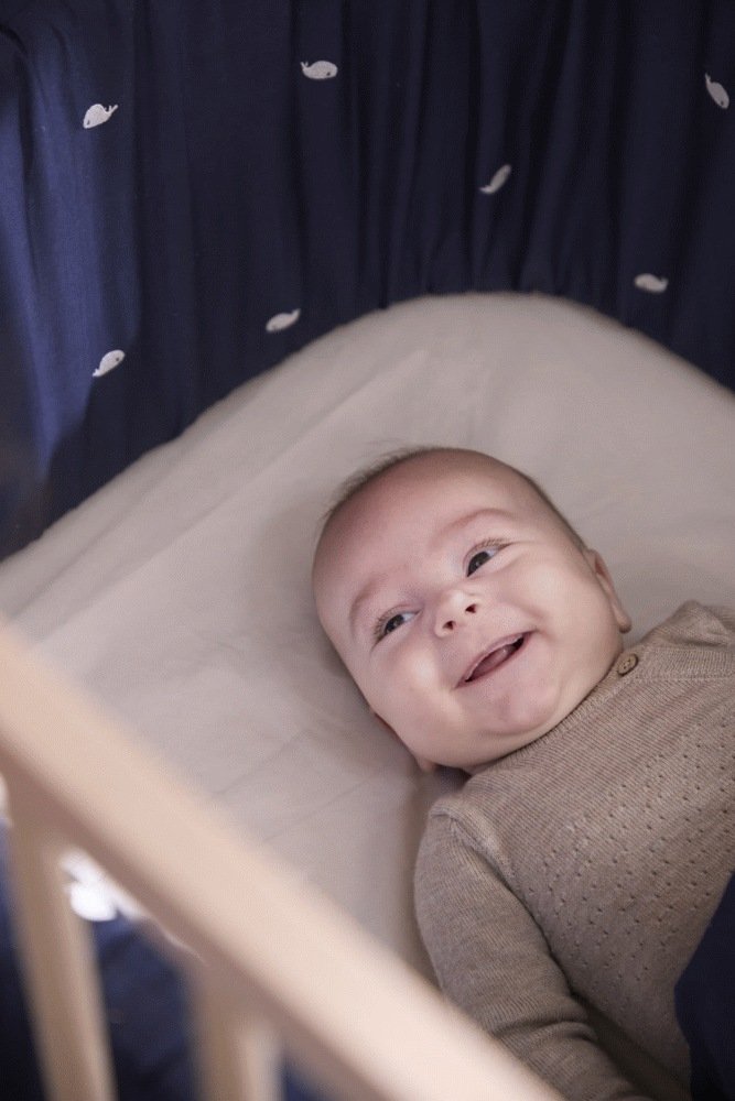 FILIBABBA Bettrand Wal Christian 340 cm, Midnight