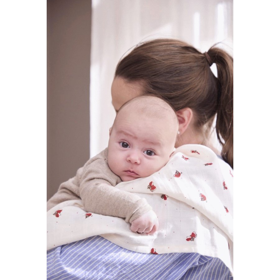 FILIBABBA Babyswaddle 120x120 cm, Lucky