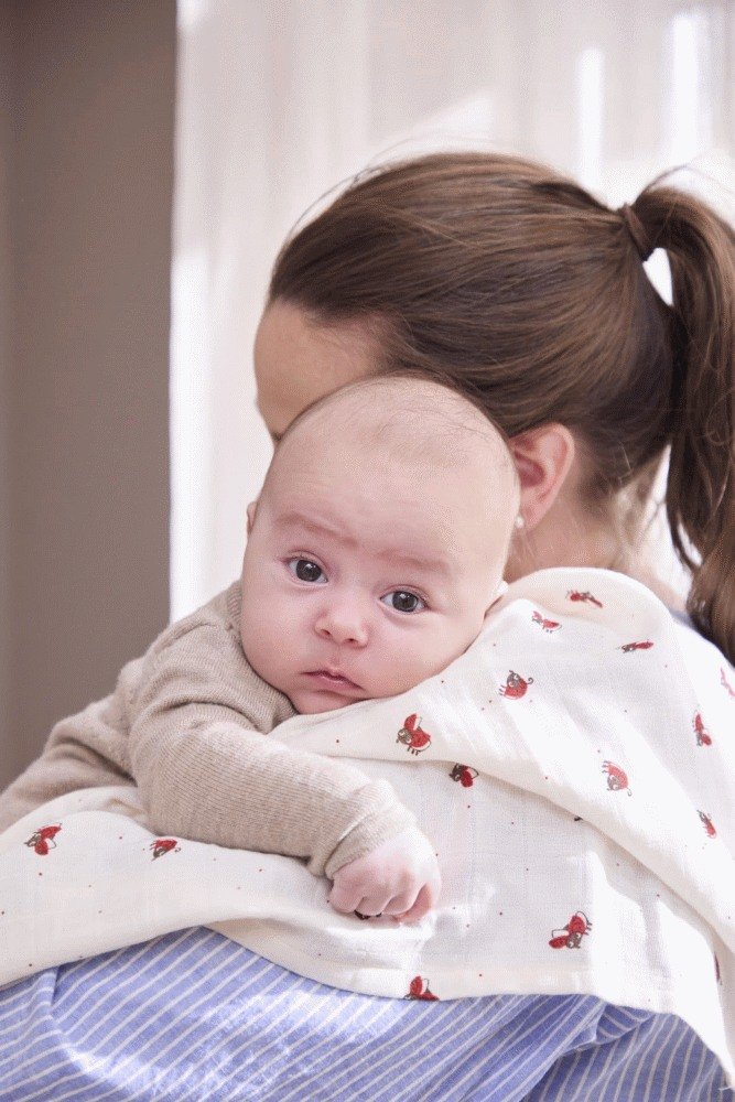 FILIBABBA Babyswaddle 120x120 cm, Lucky