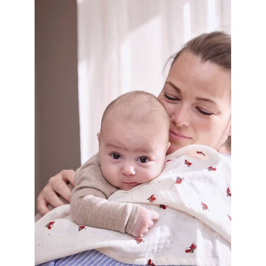 FILIBABBA Mulltuch 65x65 cm, Lucky