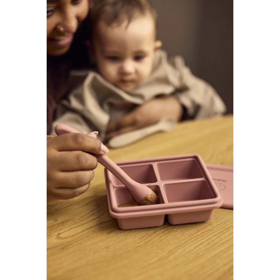 FILIBABBA TiefkhlBox fr Babynahrung 2er Set 65 ml, Rose Mix