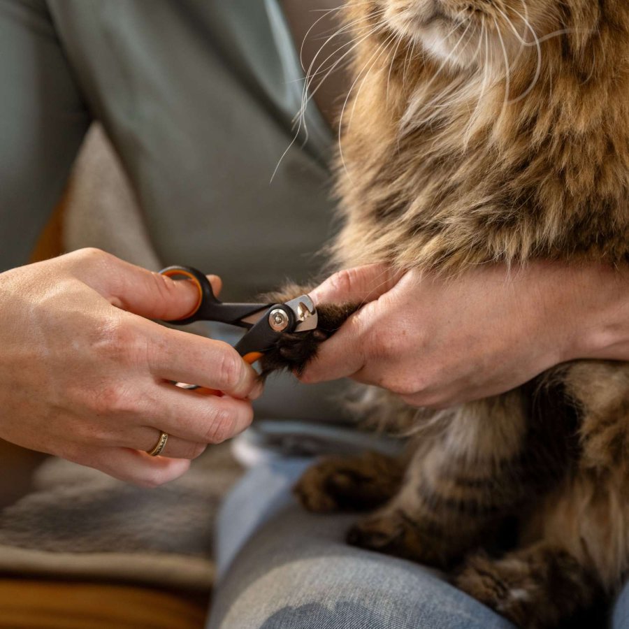 Fiskars PET CARE Nagelknipser Klein 10, 8 Cm