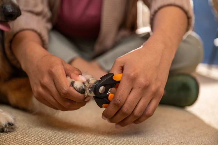 Fiskars PET CARE Nagelknipser Gro� 14, 6 Cm