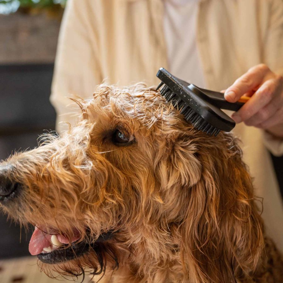 Fiskars PET CARE Massageb�rste 16,4 cm, Silikon