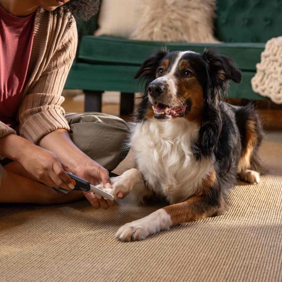 Fiskars PET CARE Nagelfeile 18, 3 Cm