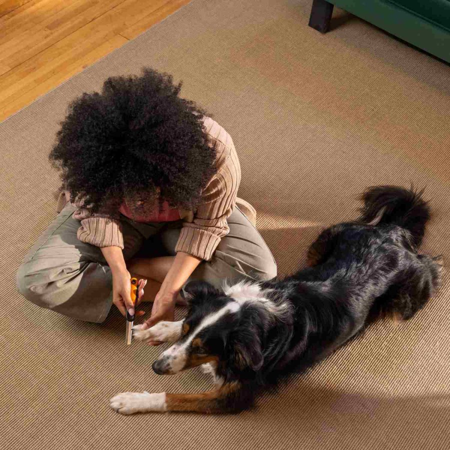 Fiskars PET CARE Nagelfeile 18, 3 Cm