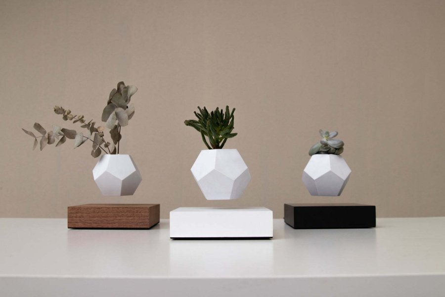 FLYTE Lyfe Plante, Sort