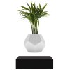 FLYTE Lyfe Plante, Sort
