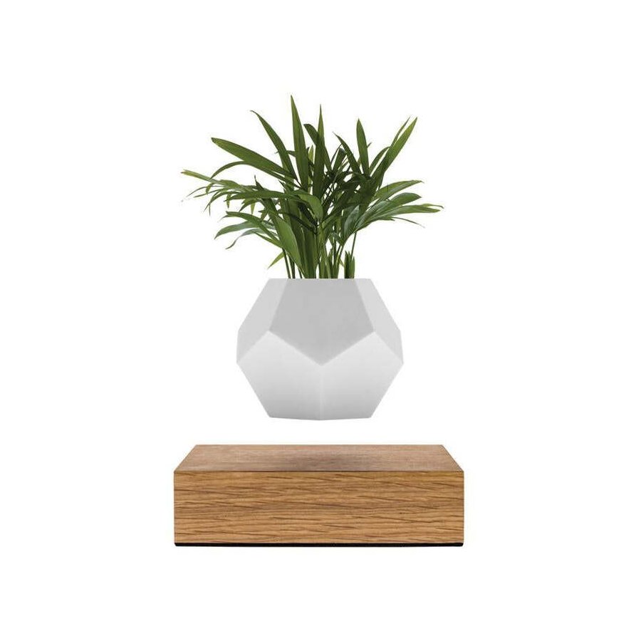 FLYTE Lyfe Plante, Egetr