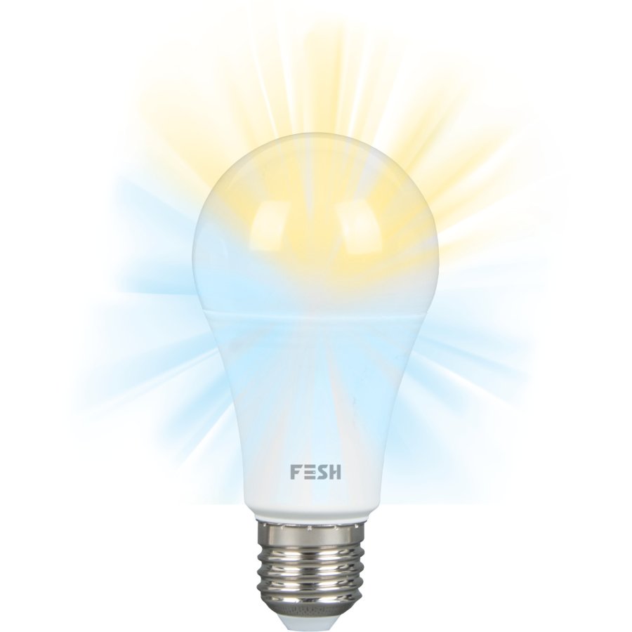 FESH Smart Home Birne LED E27 9W Dimmbar, Kalt/Warm