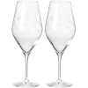 Frederik Bagger Flower Champagnerglas 2er Set. 35 cl