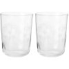 Frederik Bagger Blumenwasserglas 2er Set. 34 cl