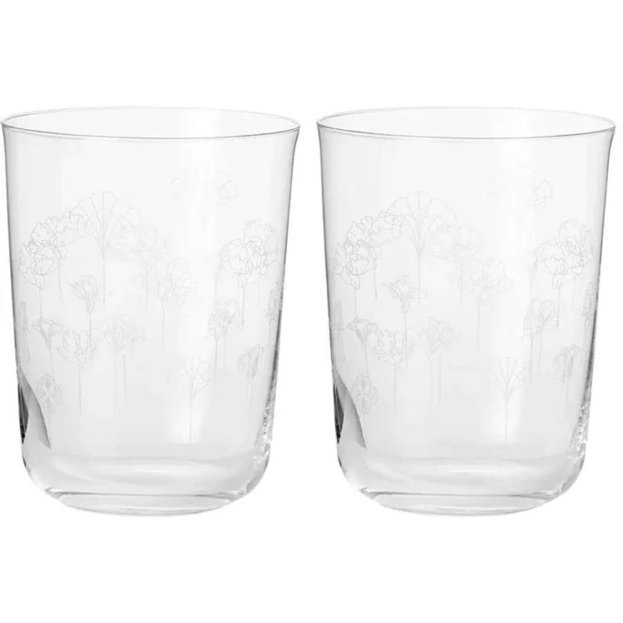 Frederik Bagger Blumenwasserglas 2er Set. 44,5 cl