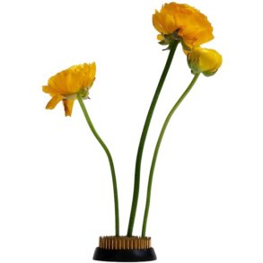 Hein Studio Kenzan Blumenhalter 6 cm, Grau