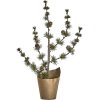 House Doctor Stay Weihnachtsbaum H40 cm, Grün