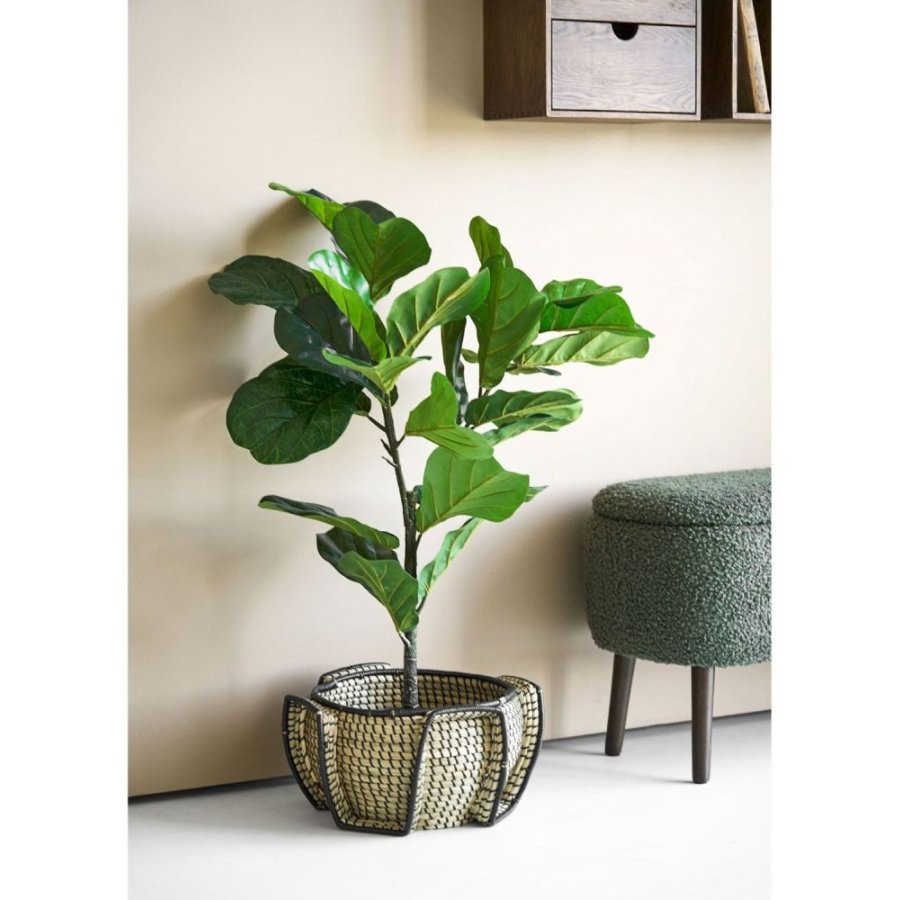 House Nordic Medan Korb H20 cm, Algen