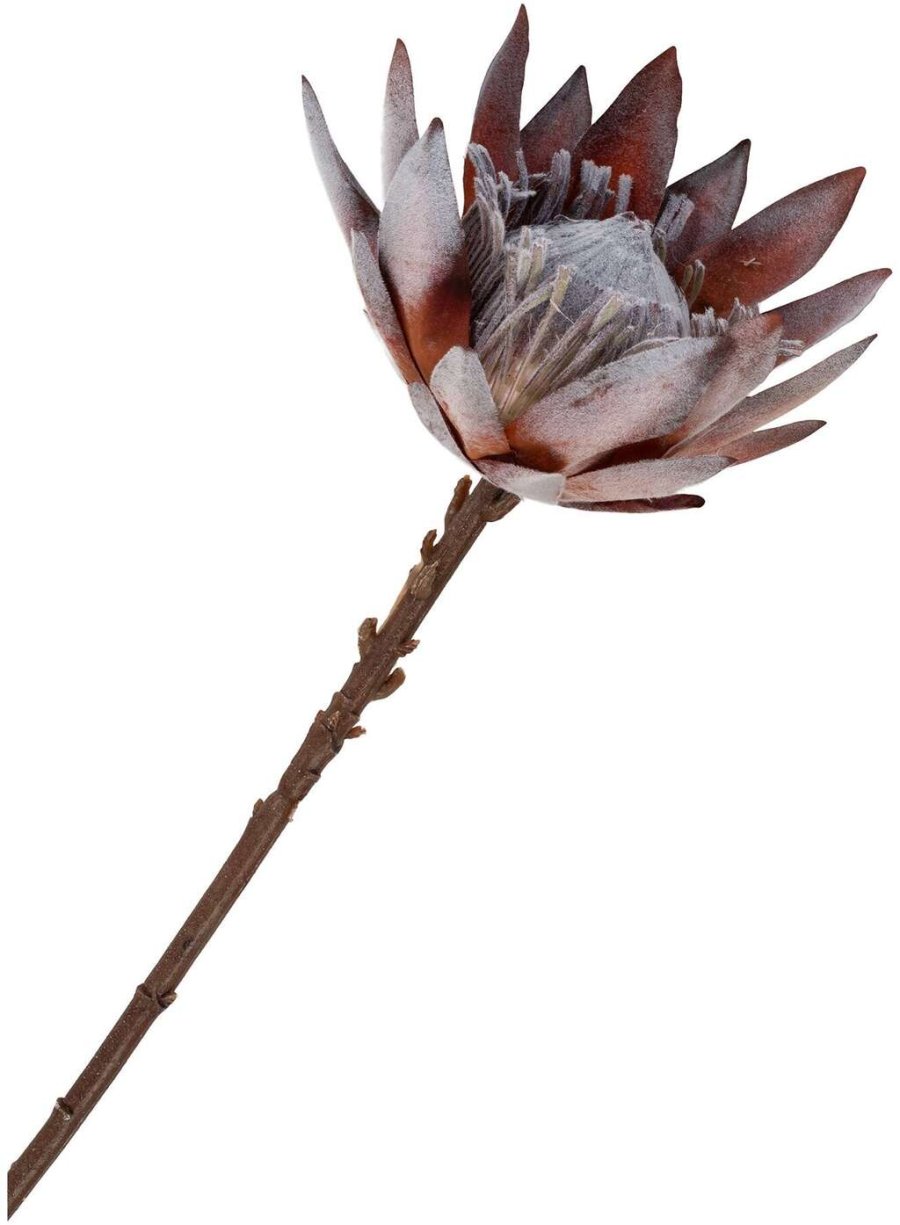 House Nordic King Protea Kunstblumen, Pink Mix