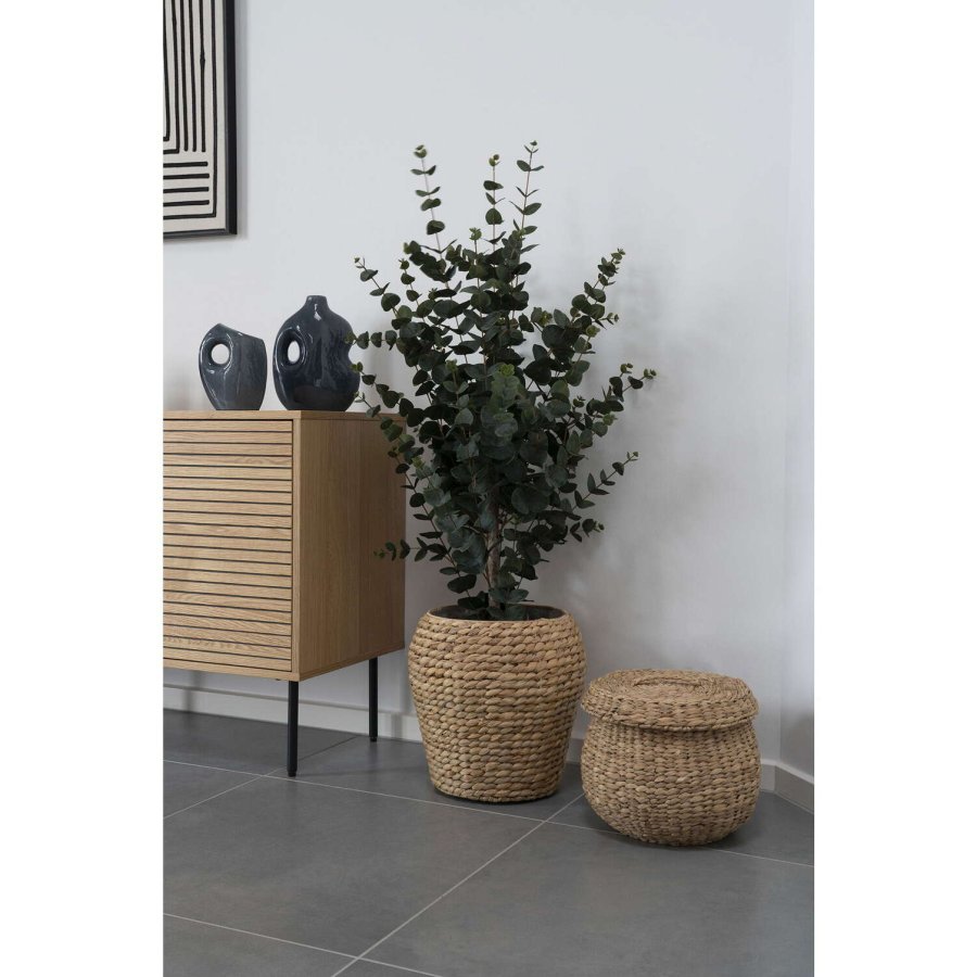 House Nordic Kunstigt Eukalyptus Tr H120 cm, Grn