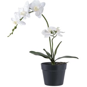 House Nordic Knstliche Orchidee H47 cm, Grn/Wei