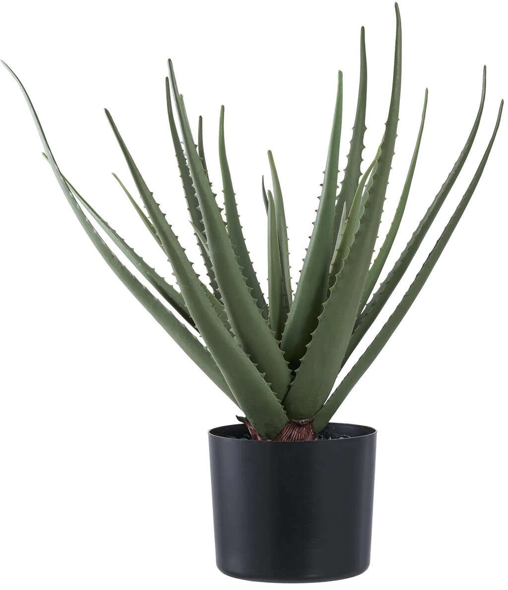 House Nordic Knstliche Aloe-Vera-Pflanze H51 cm, Grn - Knstliche  Pflanzen - Dalivo.de