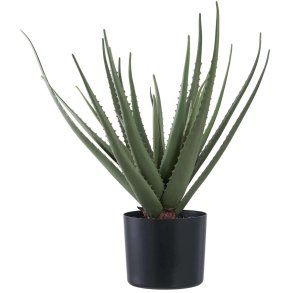 House Nordic Knstliche Aloe-Vera-Pflanze H51 cm, Grn