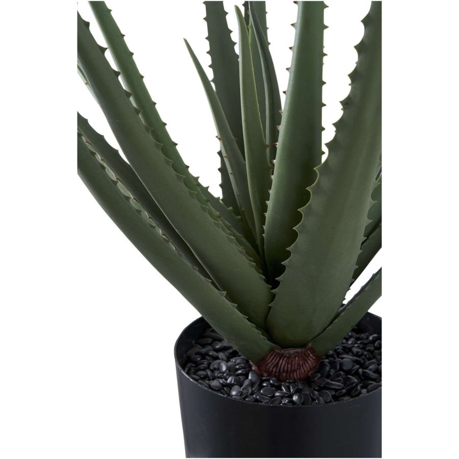 House Nordic Kunstig Aloe Vera Plante H51 cm, Grn