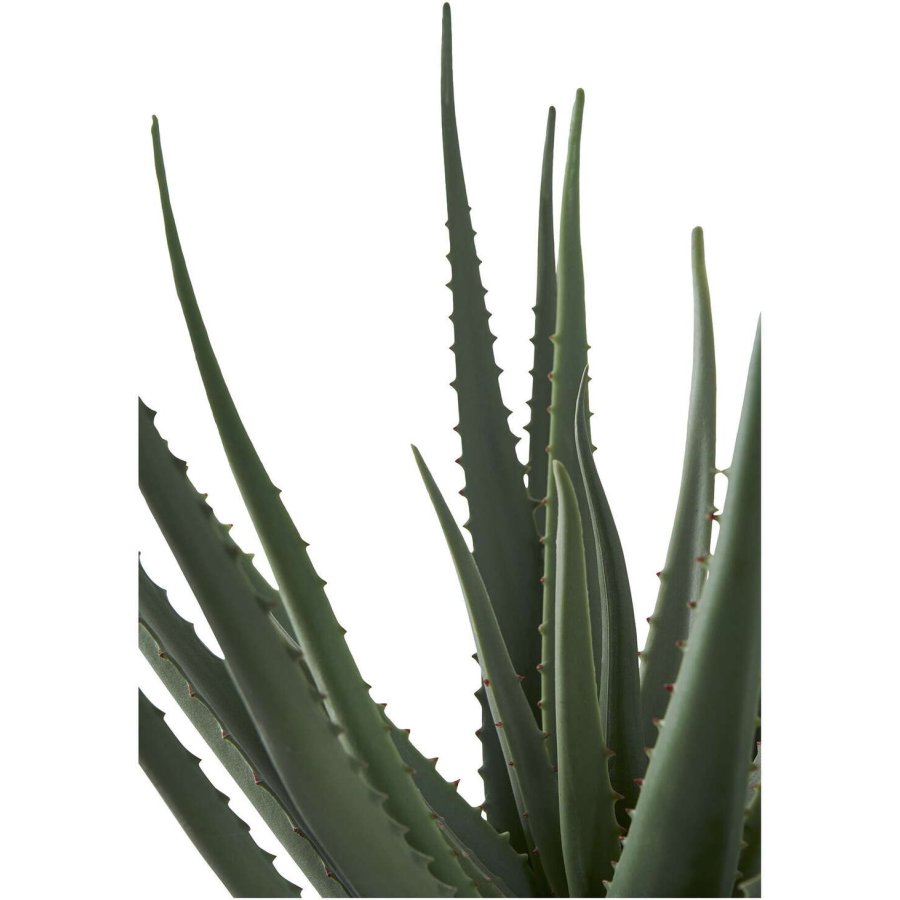 House Nordic Kunstig Aloe Vera Plante H51 cm, Grn