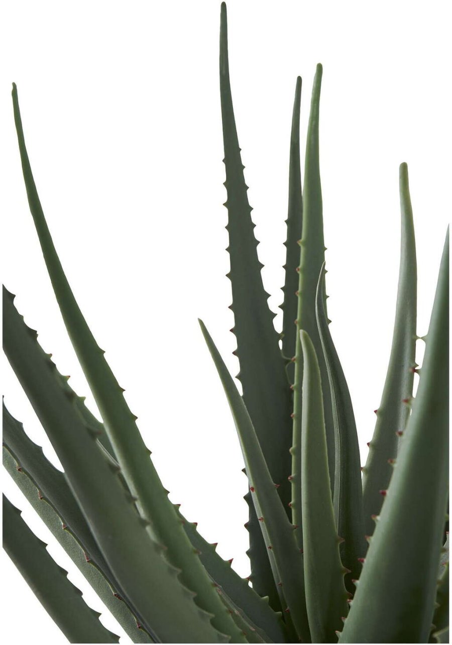 House Nordic Kunstig Aloe Vera Plante H51 cm, Grn