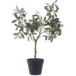 House Nordic Knstlicher Olivenbaum H61 cm, Grn