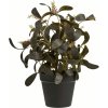 House Nordic Kunstig Plante H35 cm