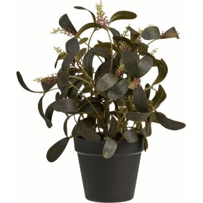 House Nordic Kunstpflanze H35 cm