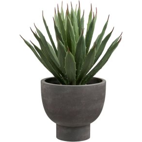 House Nordic Agave Künstliche Pflanze mit Blumentopf H41 cm, Grün/Grau