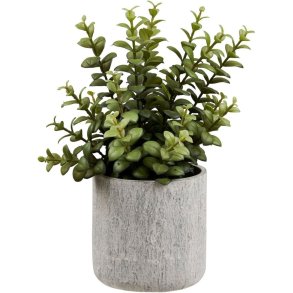 House Nordic Succulent Künstliche Pflanze mit Kräutertopf H33,5 cm, Grün/Grau