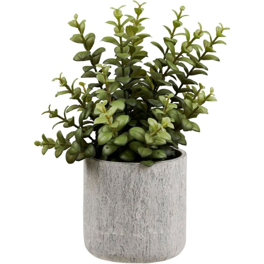 House Nordic Succulent Künstliche Pflanze mit Kräutertopf H33,5 cm, Grün/Grau
