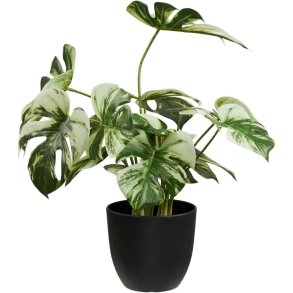 House Nordic Monstera Künstliche Pflanze H41 cm, Grün
