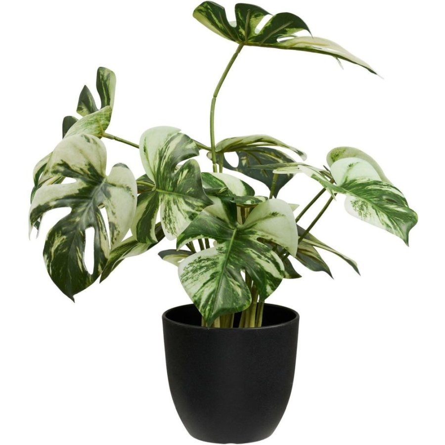 House Nordic Monstera Künstliche Pflanze H41 cm, Grün