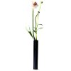 Hove Home Slim Vase H17 cm, Schwarz