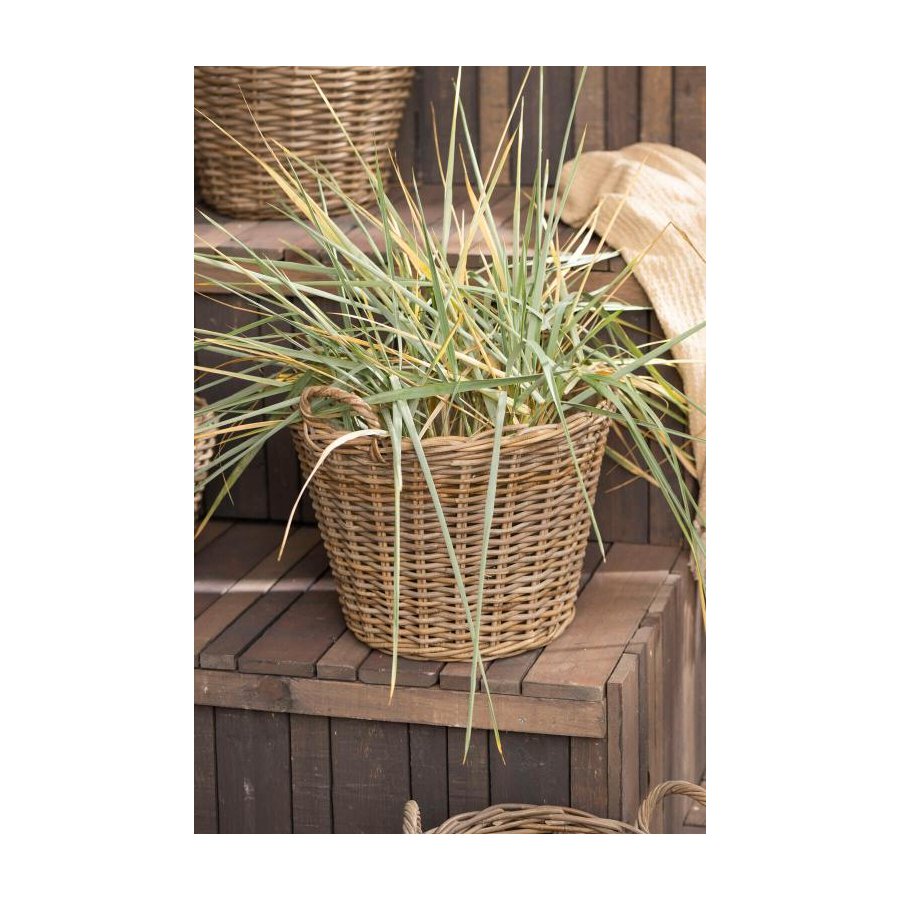 Ib Laursen Korb H39 cm, Rattan