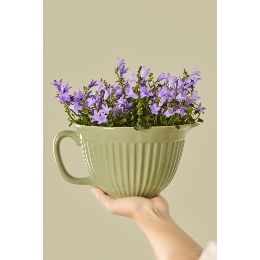 Ib Laursen Mynte Piskeskl 18 cm, Wasabi