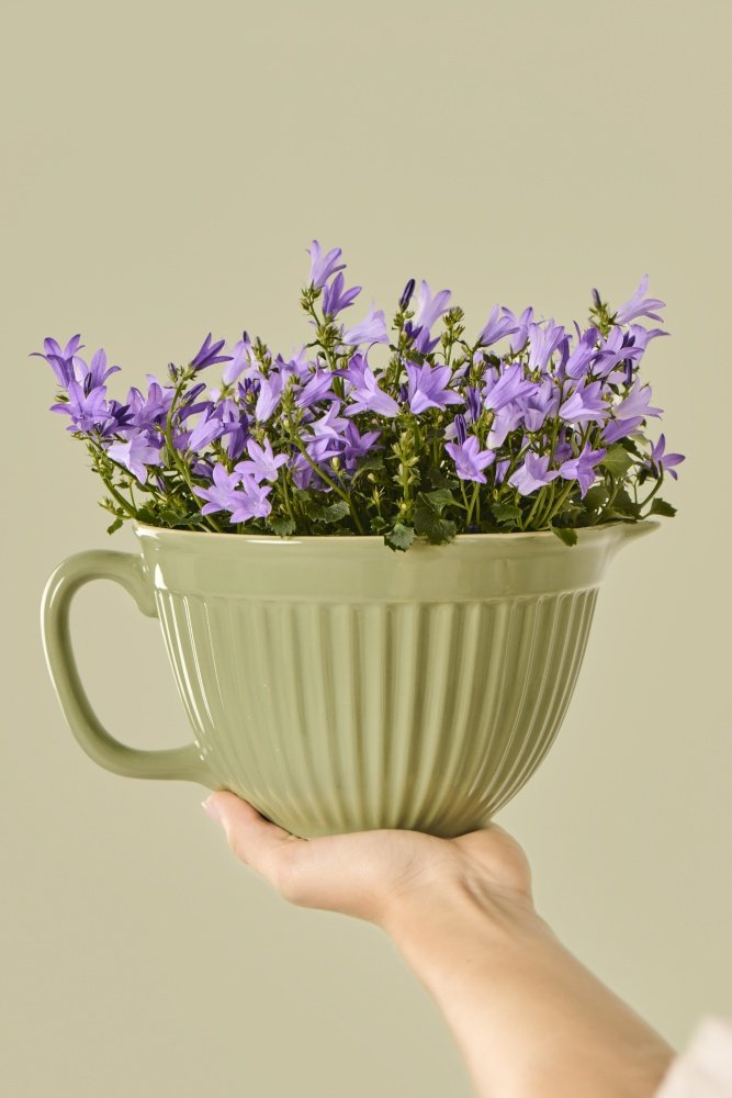 Ib Laursen Mynte Piskeskl 18 cm, Wasabi